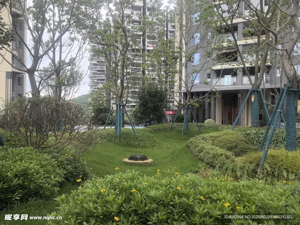 小区内的绿植景观