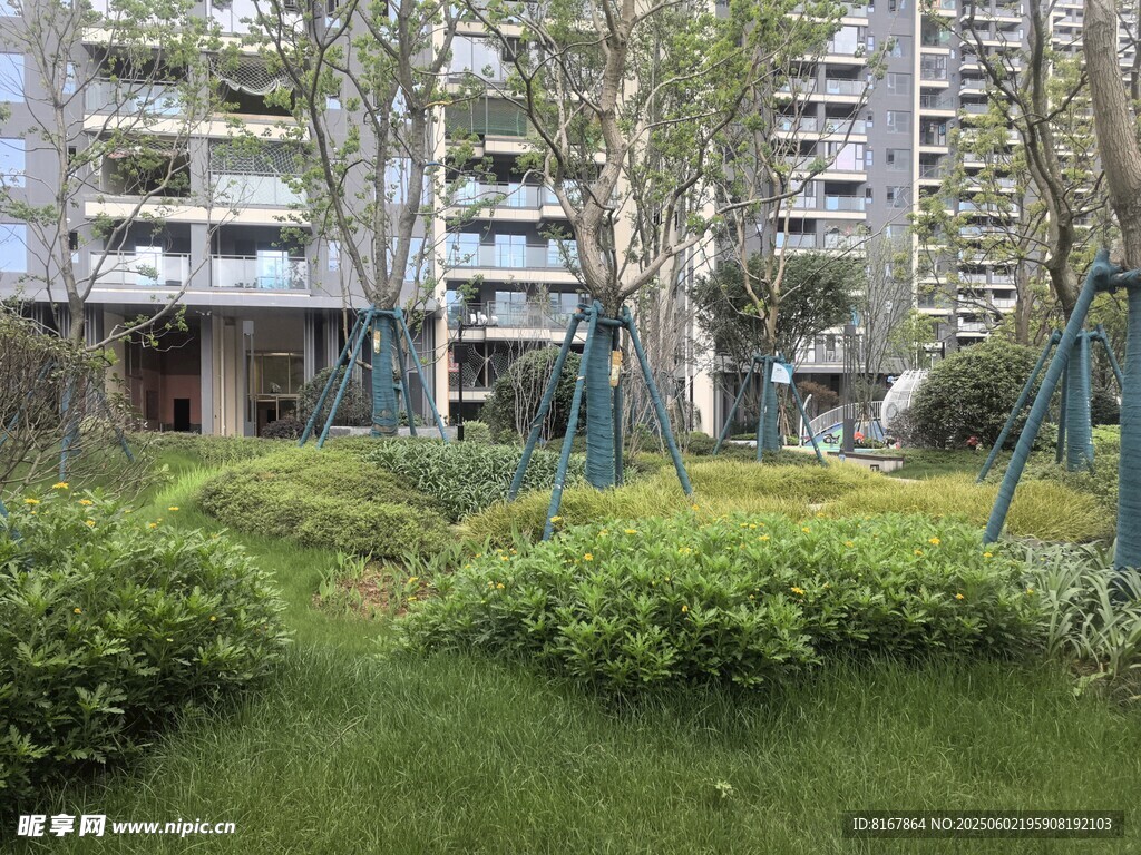 小区内的绿植景观