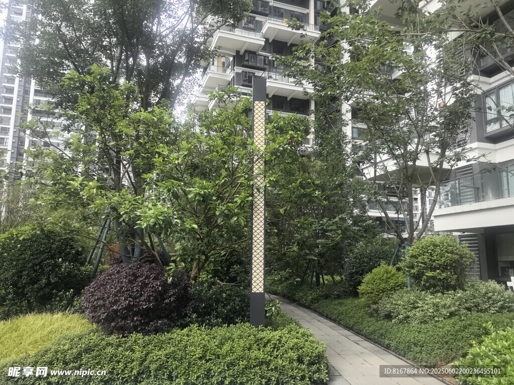 小区内绿意盎然的景观小道