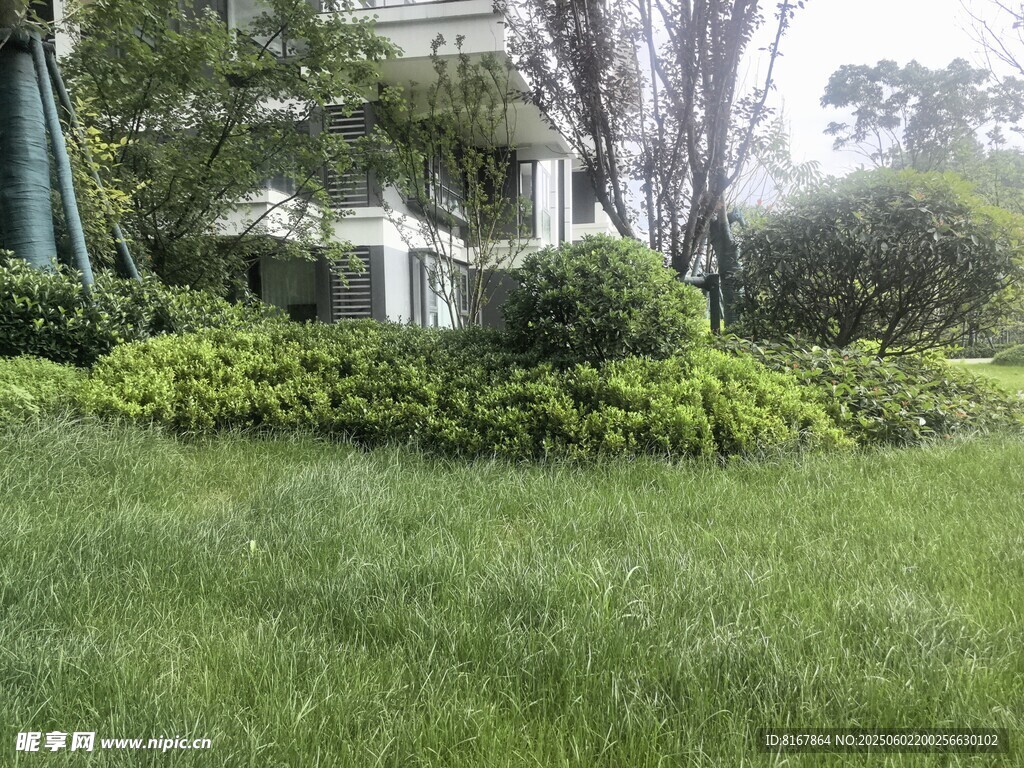 庭院绿植景观