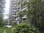 现代小区内的绿植与建筑景观