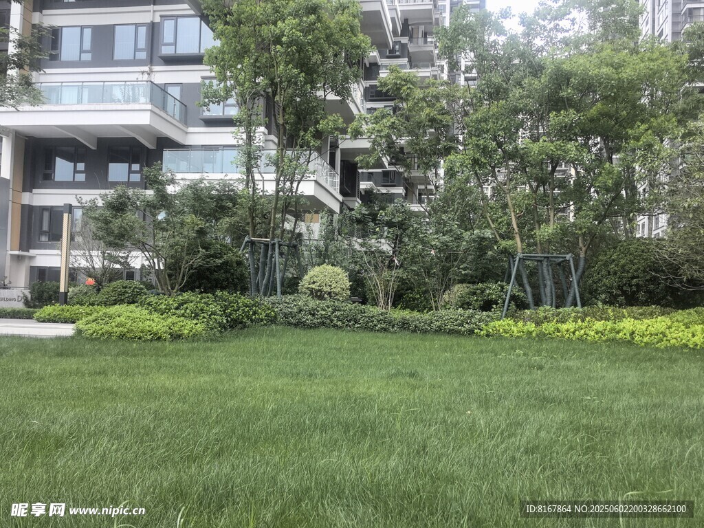 小区内的绿意盎然景观