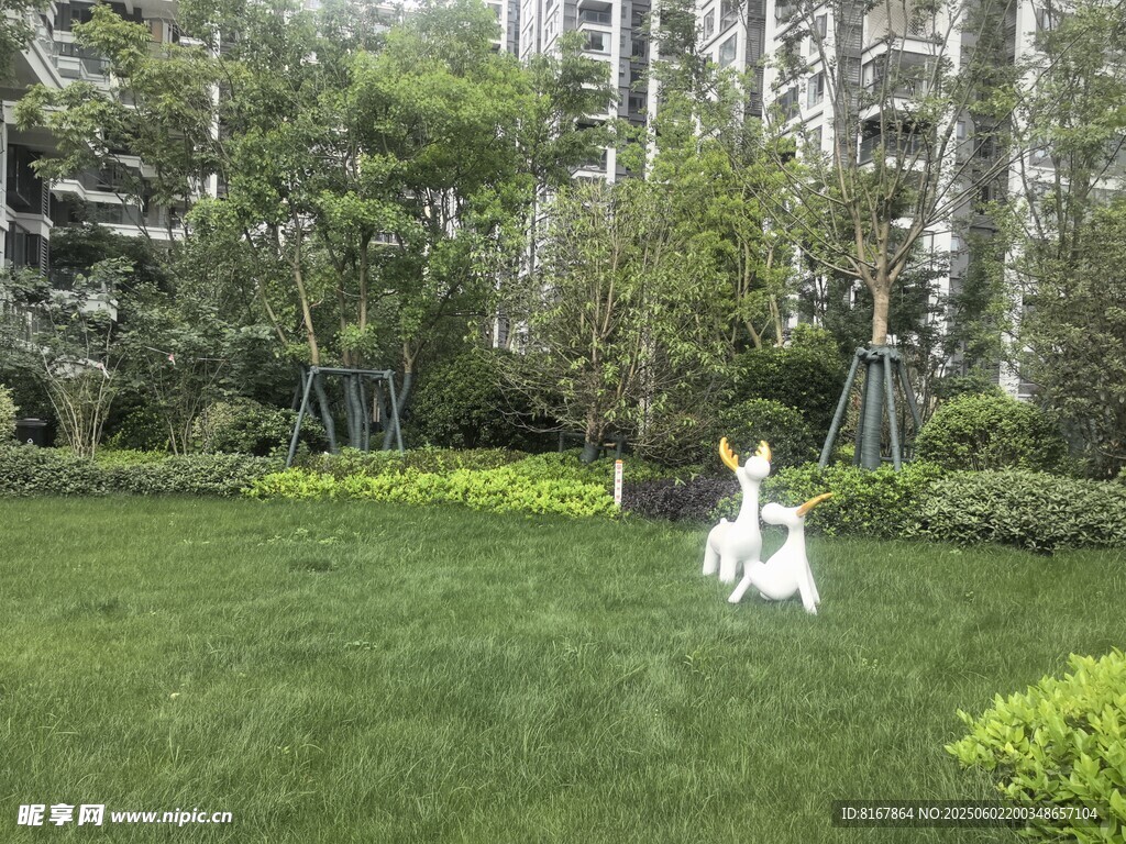 草地上玩耍的可爱小狗