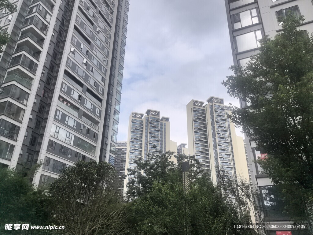 城市高楼与绿植景观
