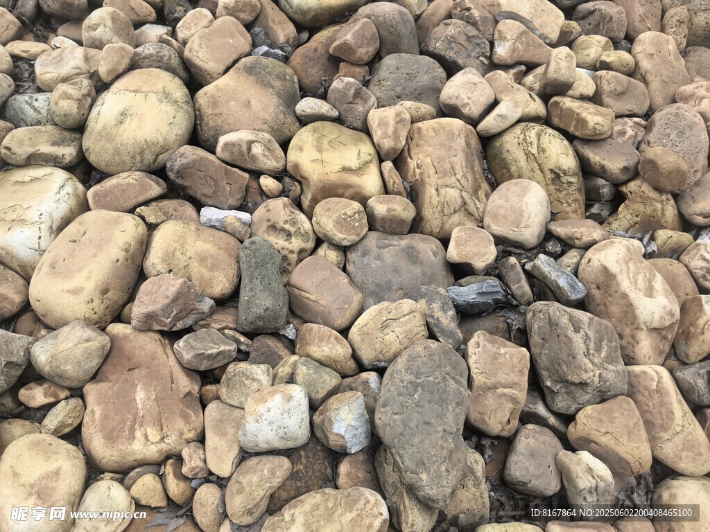 一堆形态各异的鹅卵石