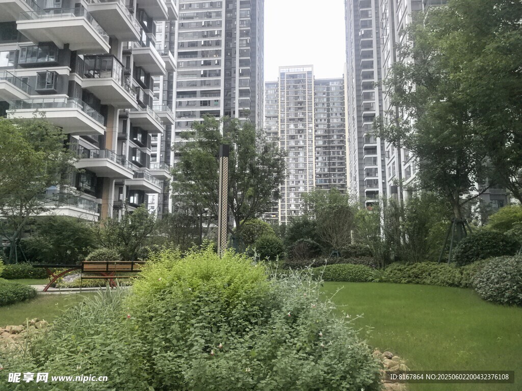 城市中的绿植与高楼景观