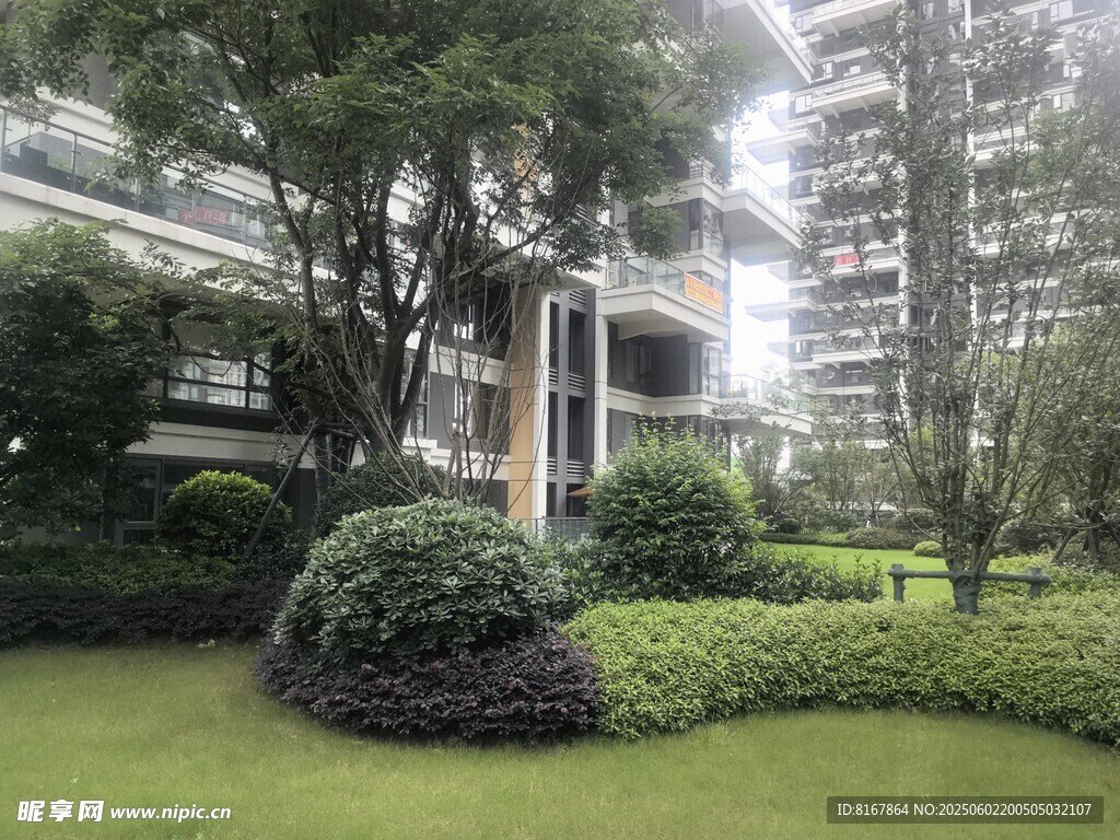城市中的静谧绿植景观