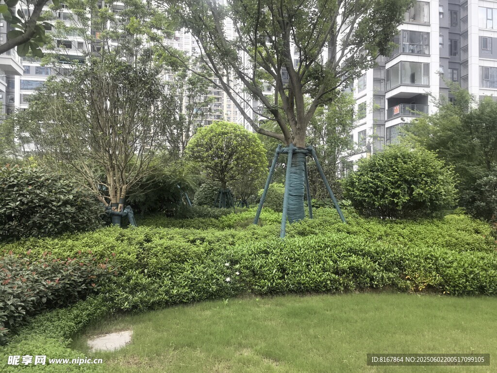 小区内绿意盎然的景观
