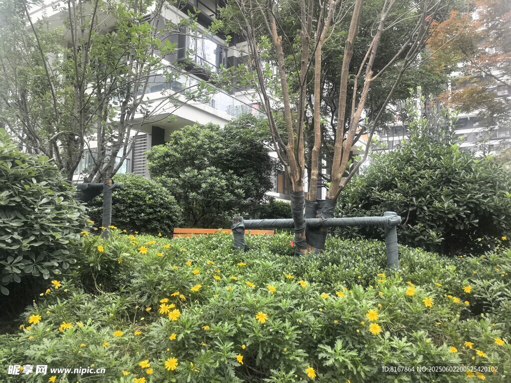 小区内的绿植与休憩长椅