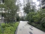 城市中的静谧林荫步道