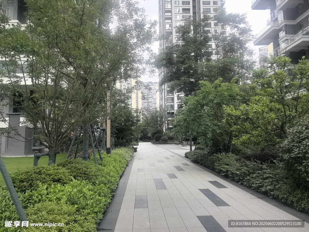 城市中的静谧林荫步道
