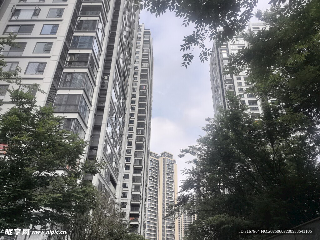 高楼林立间的绿树景观