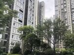 城市高楼间的绿植景观