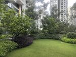 城市中的静谧绿植庭院
