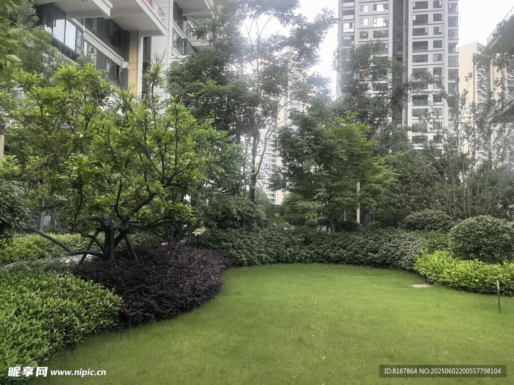 城市中的静谧绿植庭院