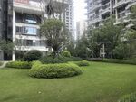小区内绿意盎然的景观