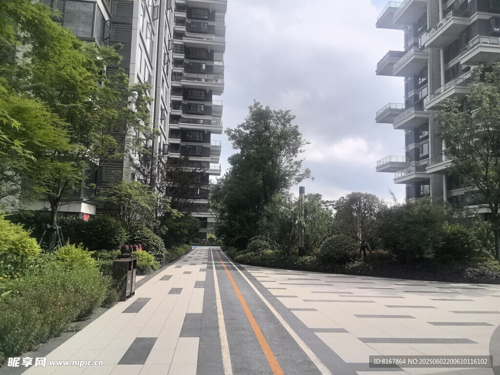 城市中整洁的林荫步行道