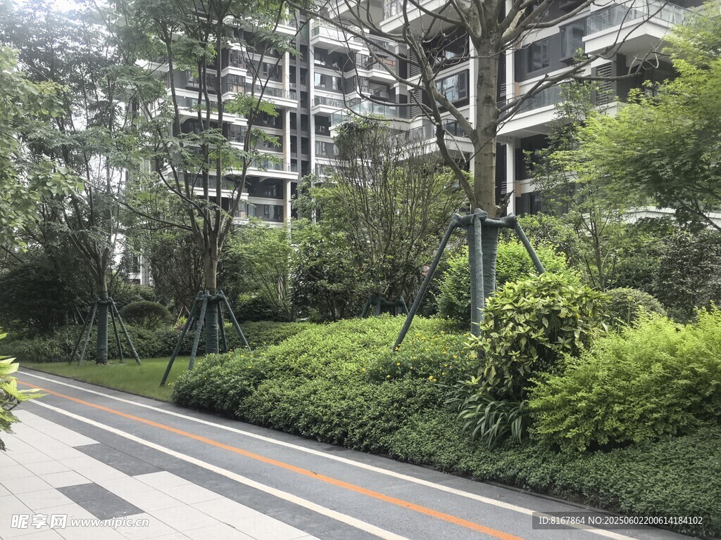 小区内绿意盎然的景观道