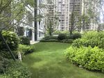 城市中的静谧绿植景观