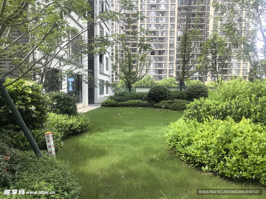 城市中的静谧绿植景观