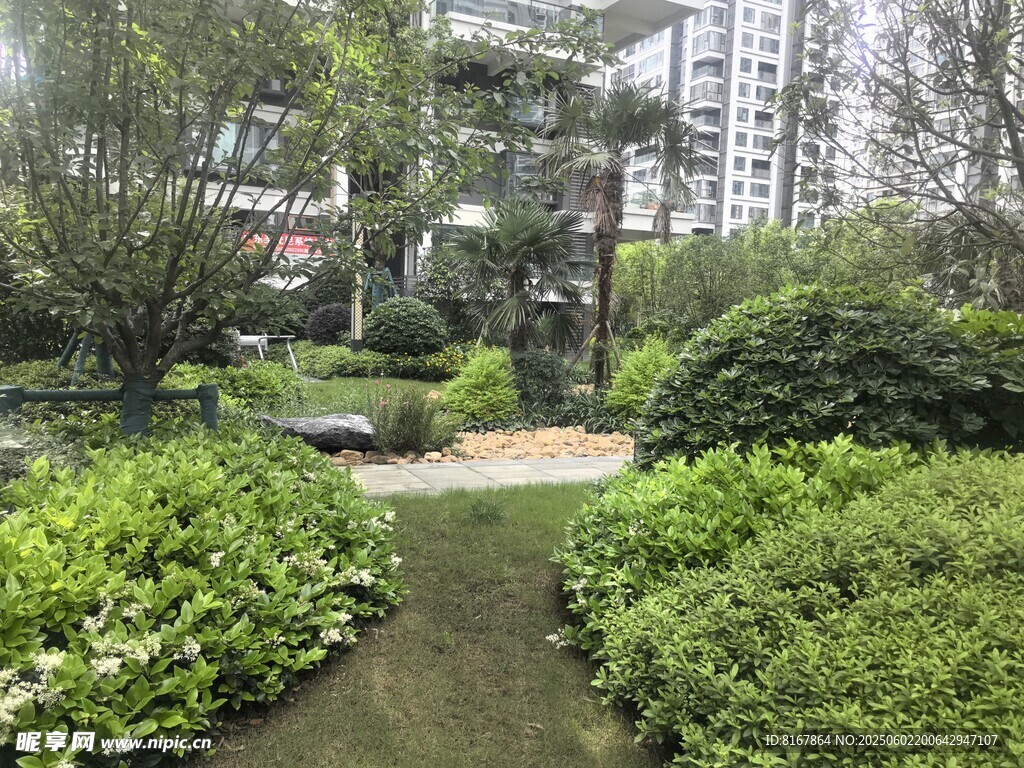 城市中的静谧绿植景观