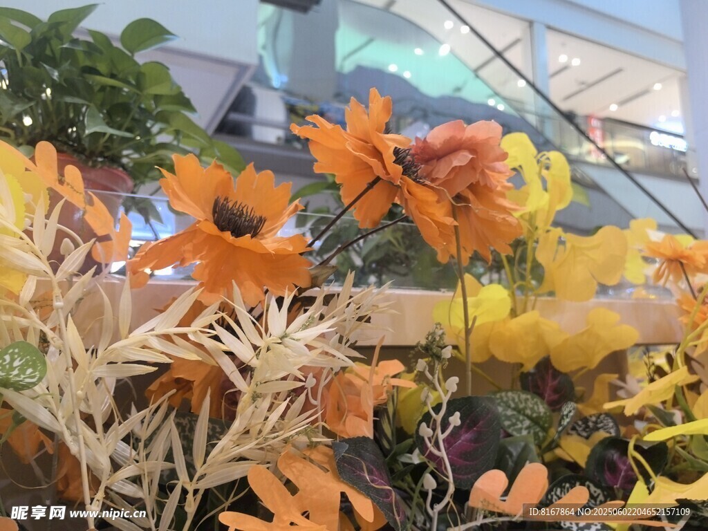 多彩花卉装饰景观
