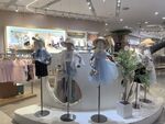 时尚服装店的模特陈列展示