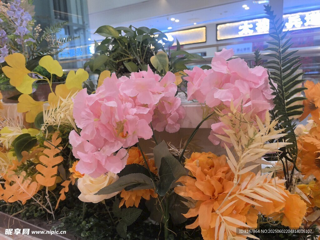 多彩花卉装点室内景观
