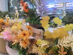 多彩花卉装饰场景展示