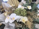 优雅白色兰花花卉组合