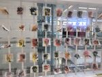时尚鞋类展示墙