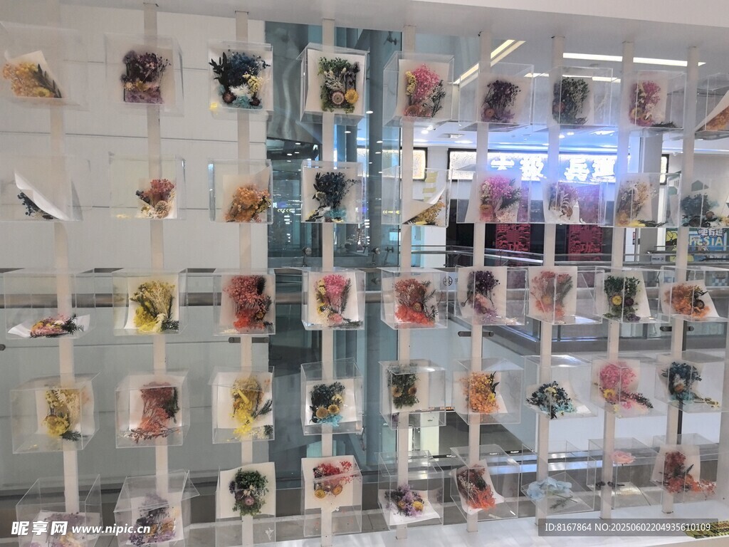 时尚鞋类展示墙