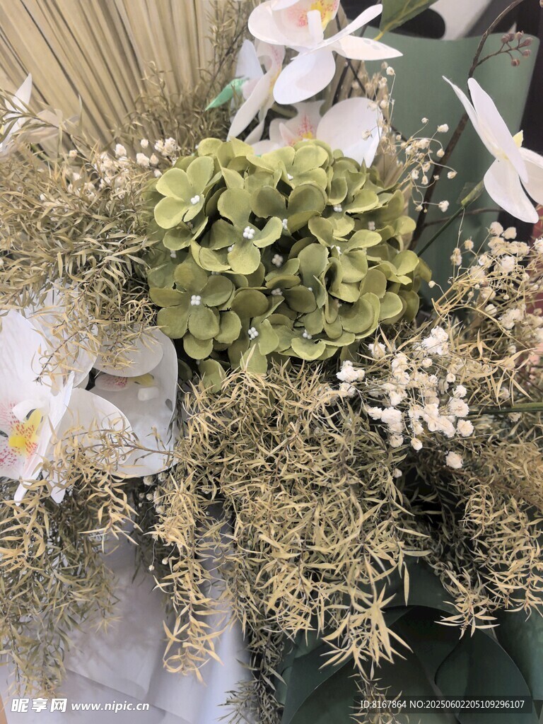 清新绿植花卉组合装饰