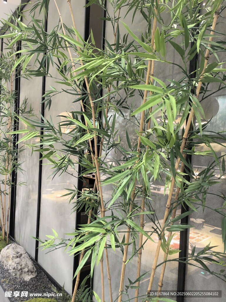 铁栏旁的翠绿竹子