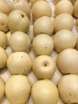新鲜黄皮梨果实展示