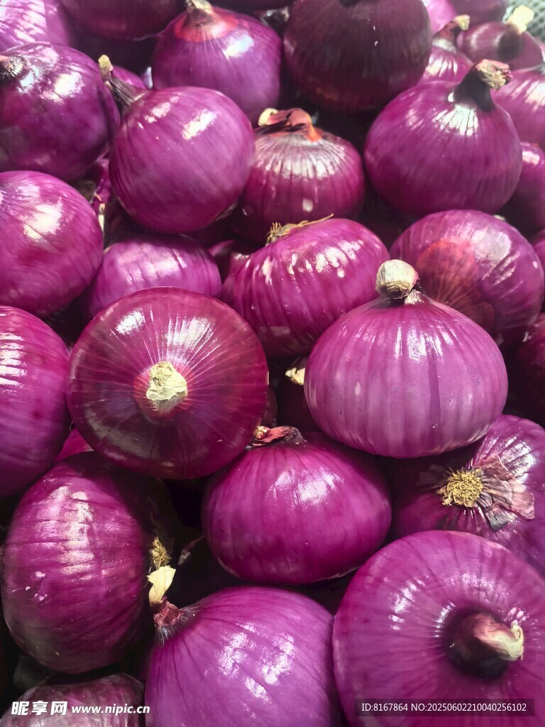 紫皮洋葱堆 