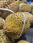 新鲜饱满的榴莲堆叠