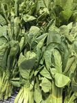 新鲜青菜待售