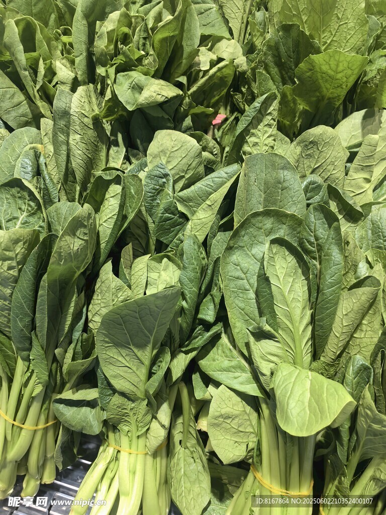 新鲜青菜待售