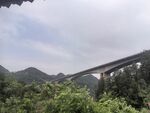 山间高架桥穿越葱郁植被