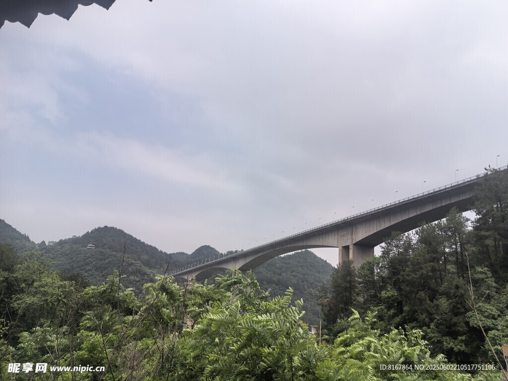 山间高架桥穿越葱郁植被