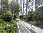 城市中静谧的林荫步道
