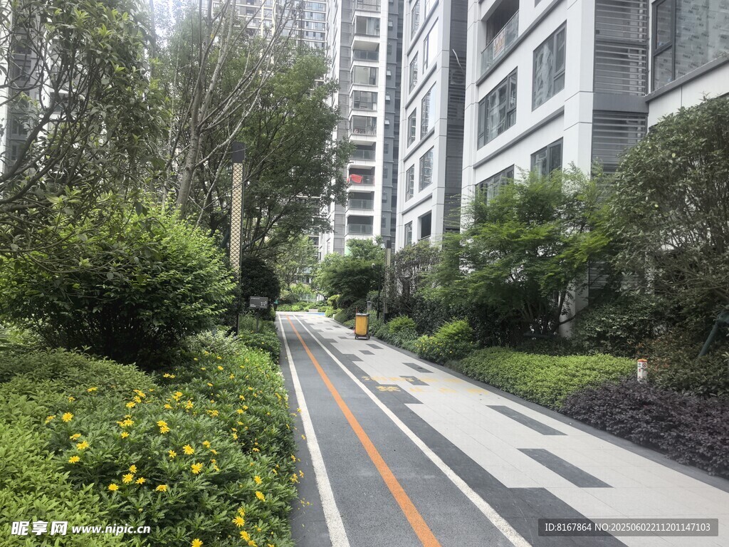 城市中静谧的林荫步道