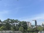 城市绿树与高楼景观