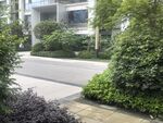 小区绿植环绕的宁静道路