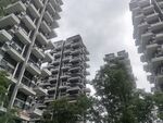 高层住宅楼与绿植景观