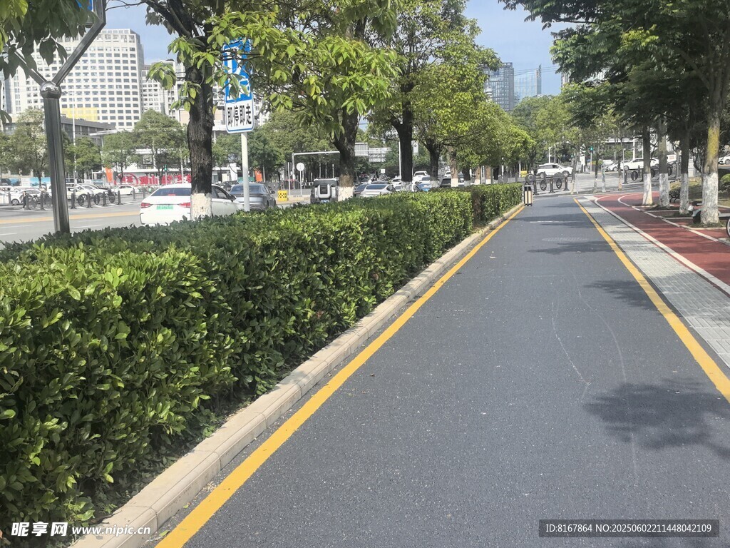 城市林荫下的整洁道路