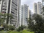 城市高楼旁的绿植景观