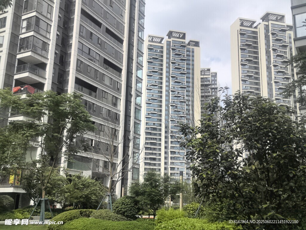 城市高楼旁的绿植景观