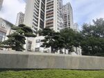 高层住宅旁的绿植景观
